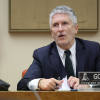 El ministro del Interior, Fernando Grande Marlaska. EP.