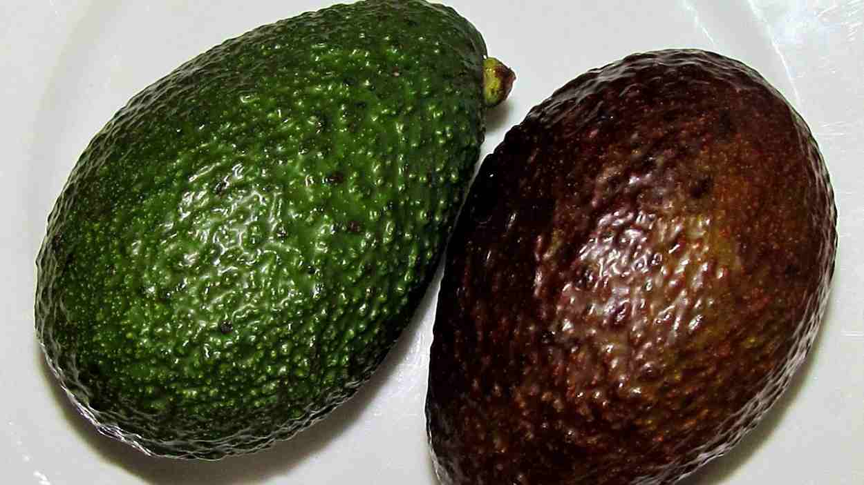 El truco para conservar los aguacates y que estos duren más tiempo