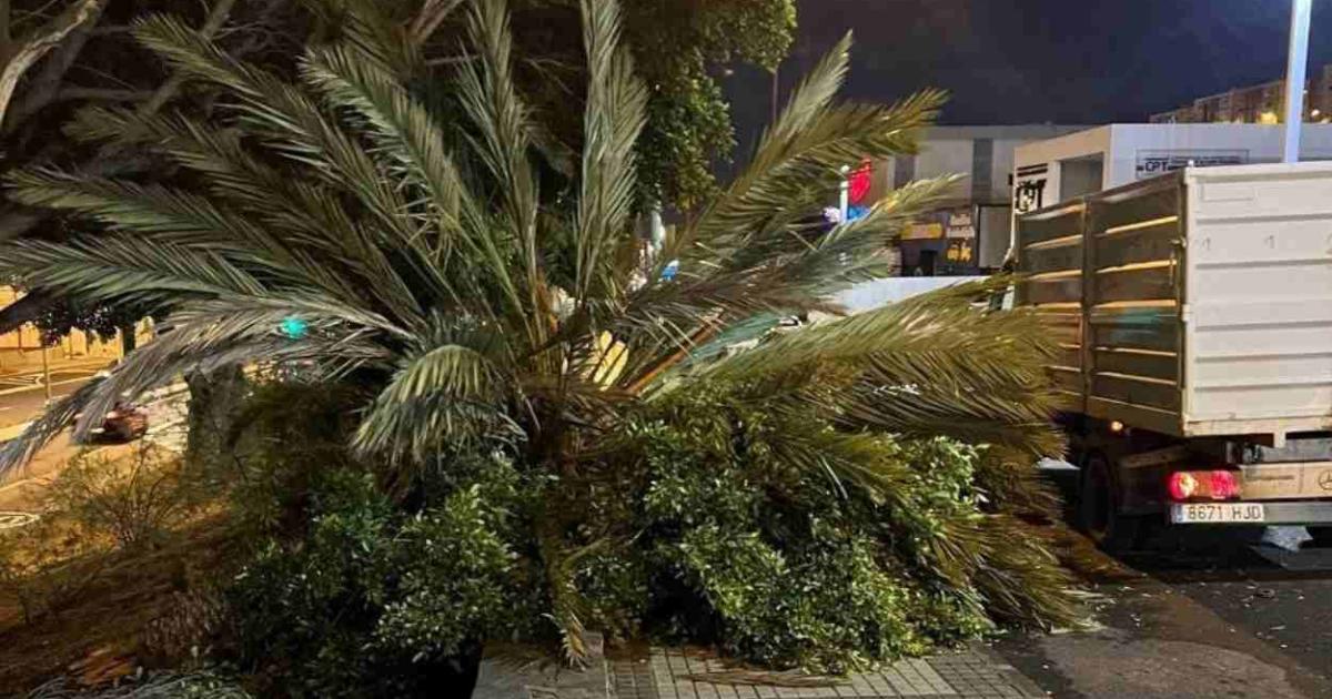 claves de la borrasca Regina