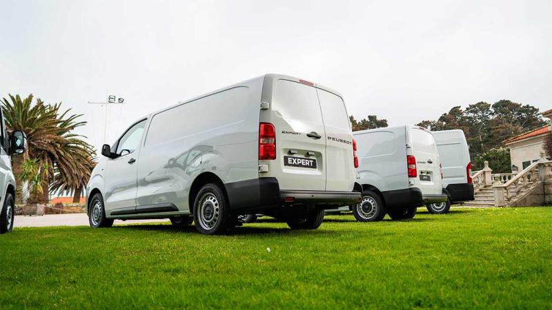 pro one resultados pro one resultados