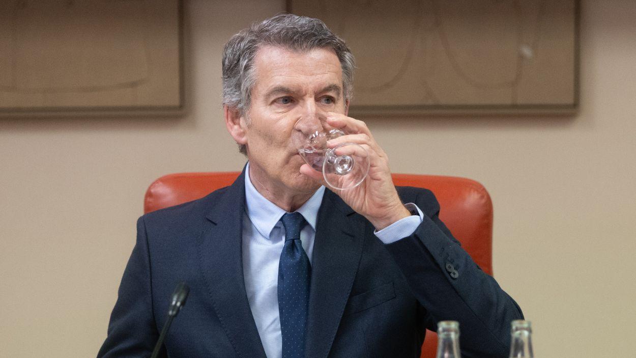 El presidente del PP, Alberto Núñez Feijóo. EP