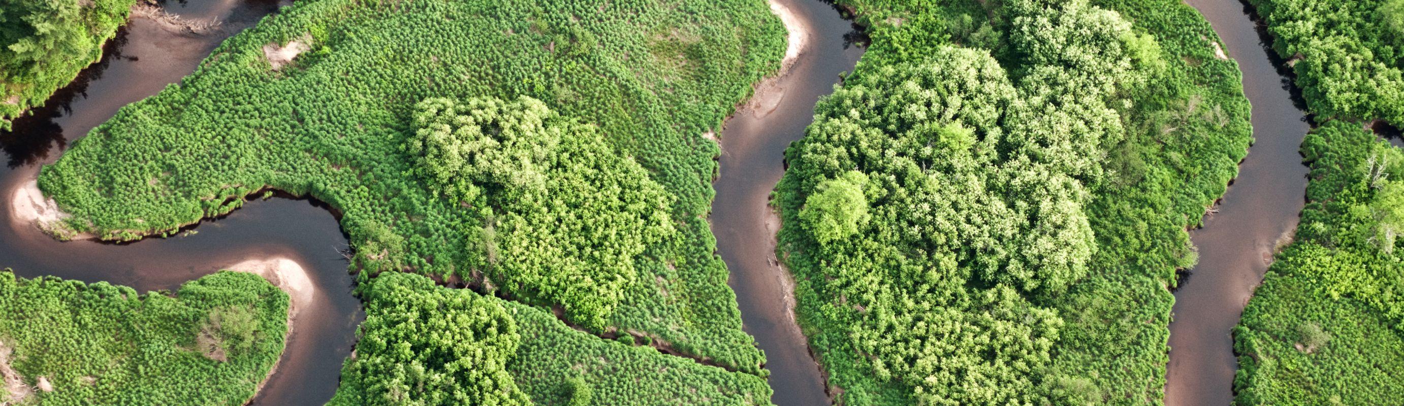 Día Mundial del Agua