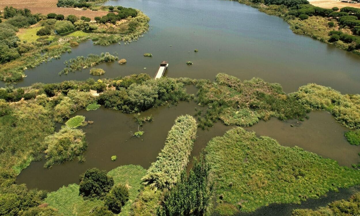 La Fundación Moeve protege 52 hectáreas de humedales y refuerza la conservación de 715 especies. FUNDACIÓN MOEVE