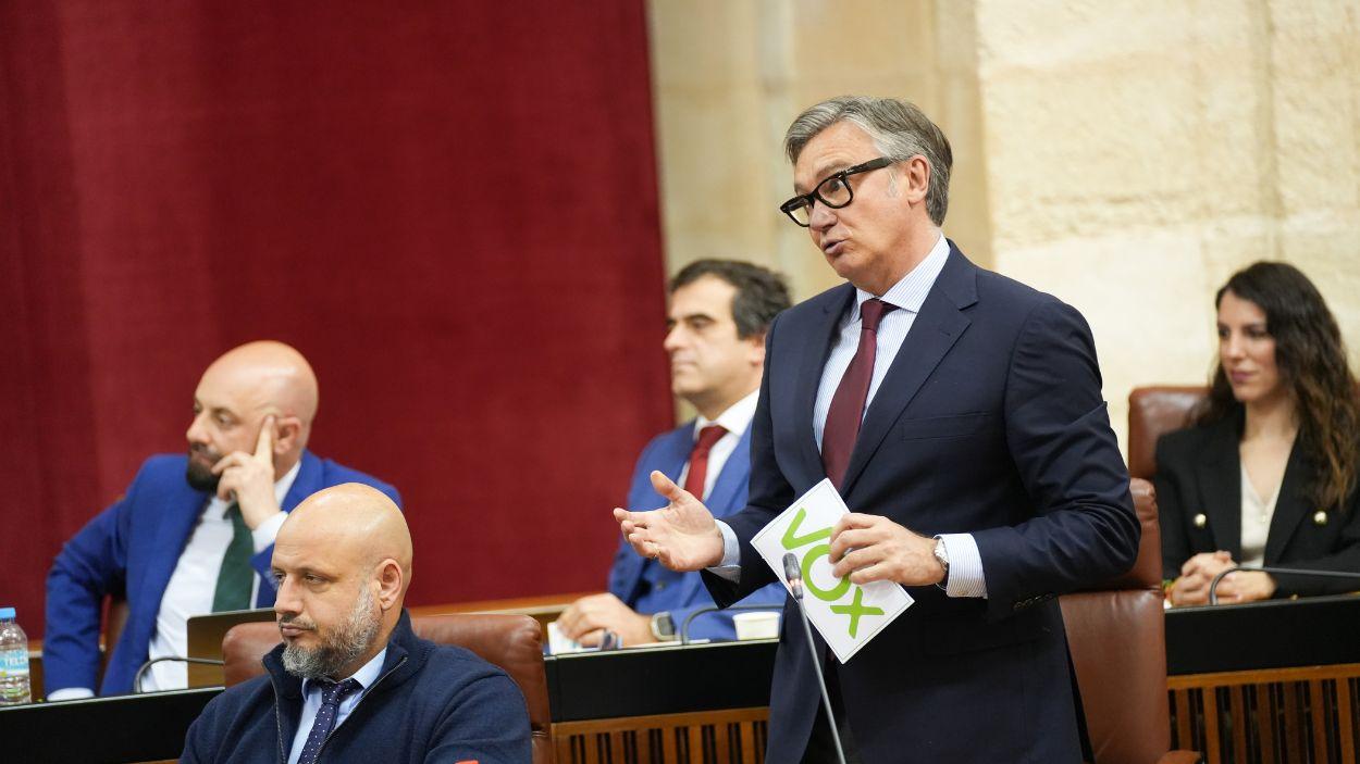 El portavoz del grupo parlamentario Vox en Andalucía, Manuel Gavira, durante la sesión de control en el Parlamento andaluz / EP