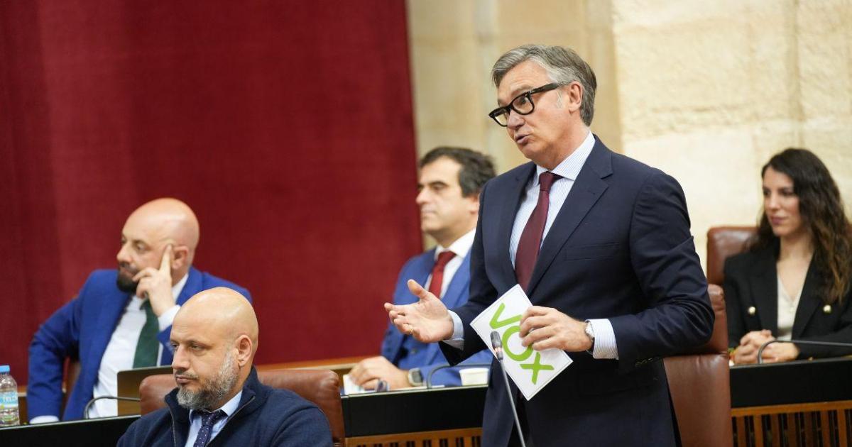 Las exigencias de Vox para entrar en el Gobierno andaluz