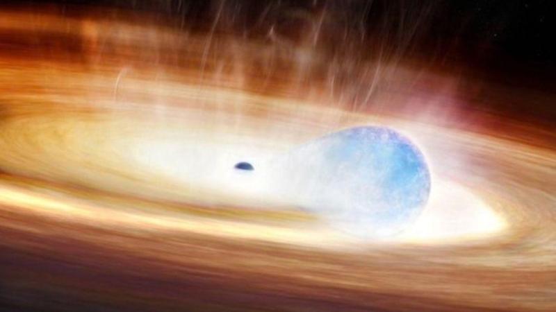 Un estudio ha capturado la interacción explosiva entre un agujero negro y una estrella masiva cercana (azul), como se muestra en la concepción de este artista. Harvard Smithsonian. Un estudio ha capturado la interacción explosiva entre un agujero negro y una estrella masiva cercana (azul), como se muestra en la concepción de este artista. Harvard Smithsonian.