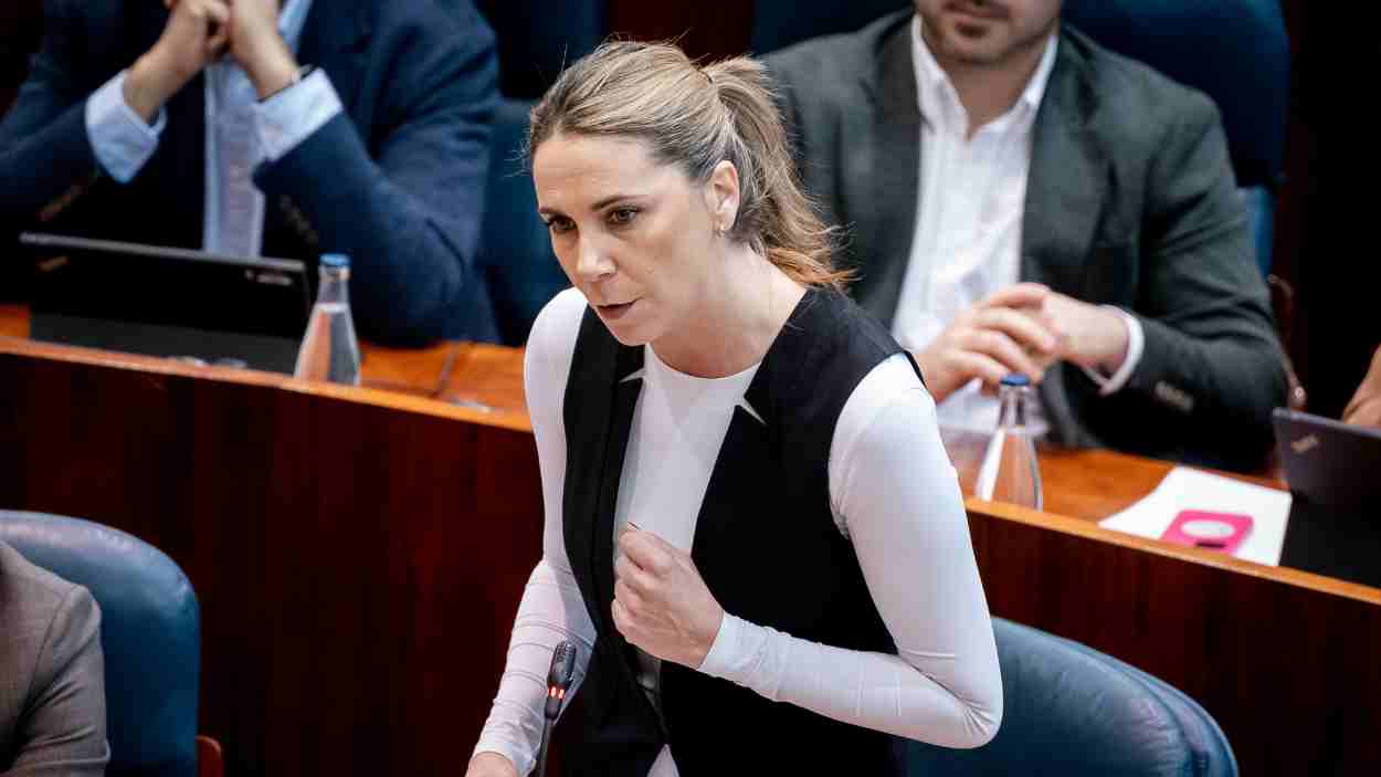 La portavoz del PSOE en la Asamblea, Mar Espinar.EP