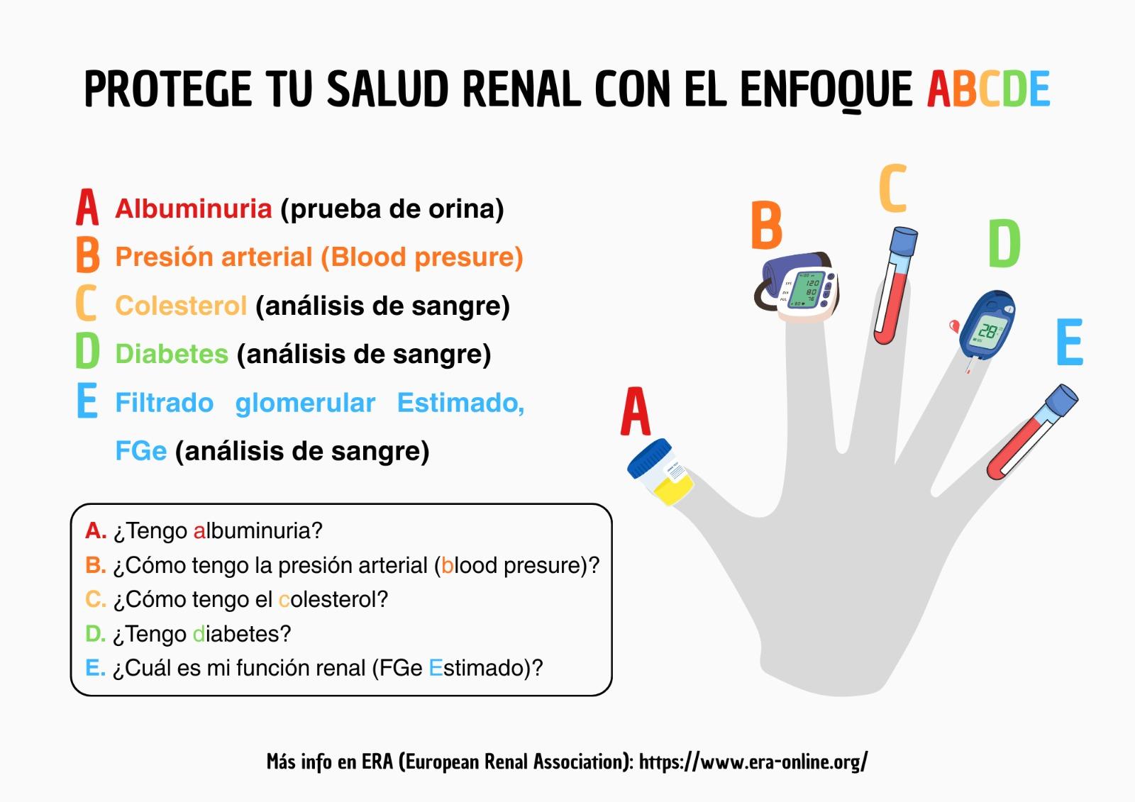 Infografía salud renal abcde