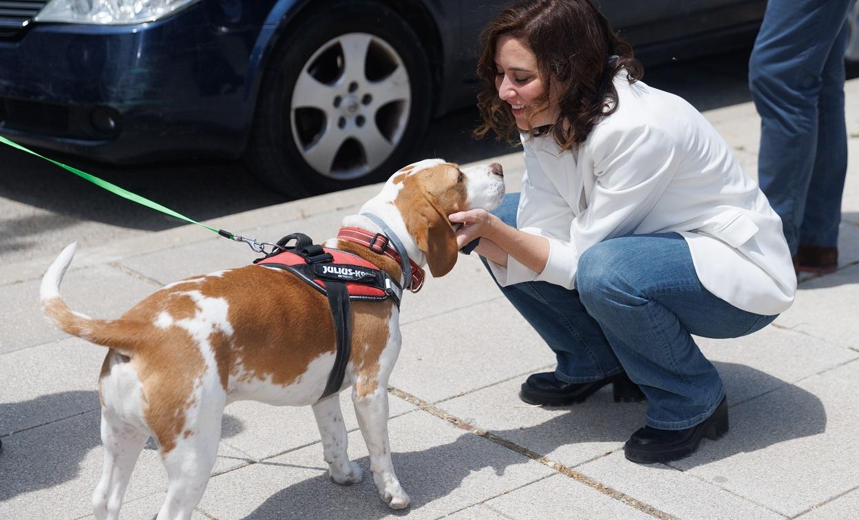 La presidenta de la Comunidad de Madrid, Isabel Díaz Ayuso, acariciando a un perro. EP