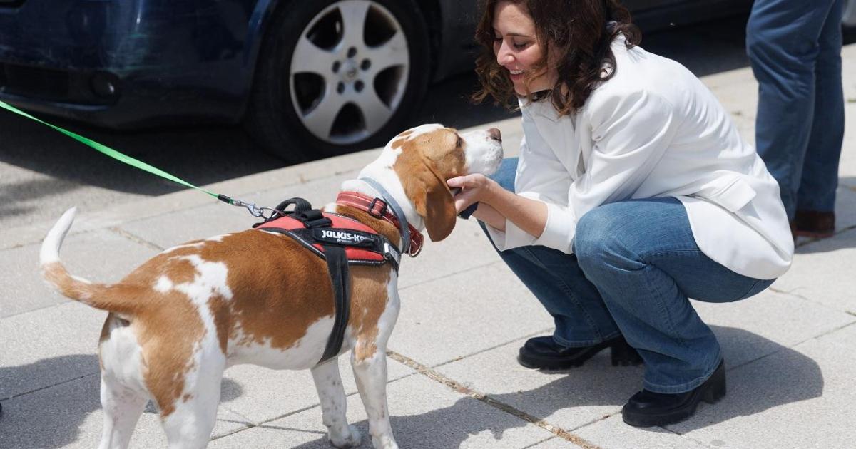 El PP de Ayuso y Vox impiden la creación de un veterinario público para familias con dificultades económicas