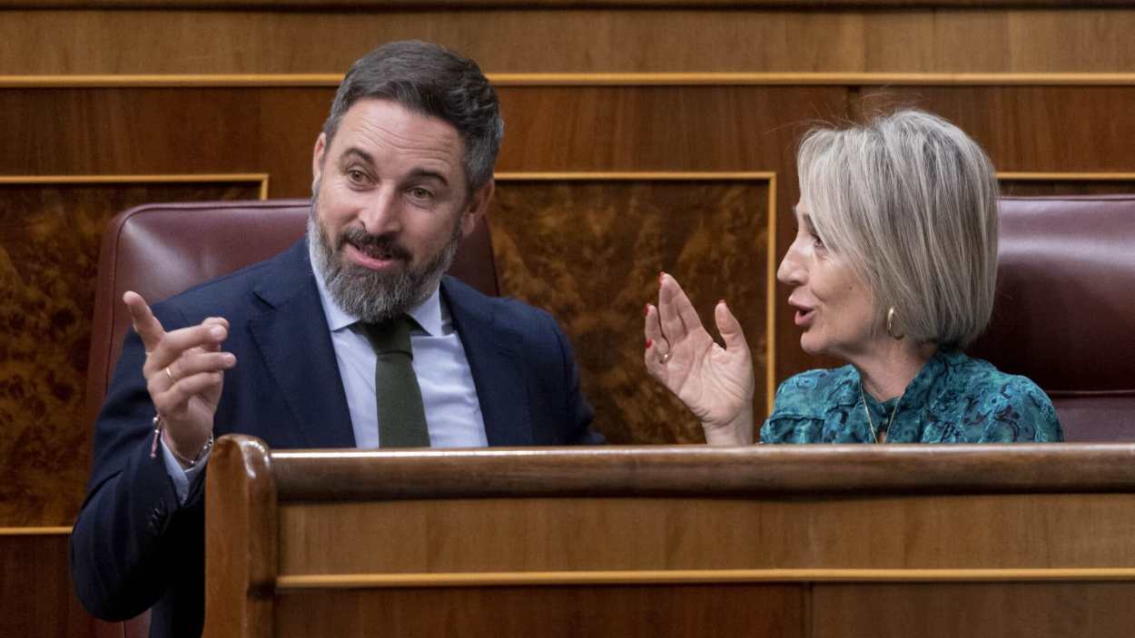 Imagen de archivo de Santiago Abascal junto a Inés Cañizares cuando era diputada nacional en el Congreso. EP.