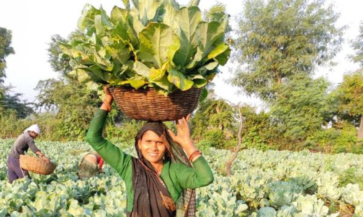 Una miembro de BASANT trabajando sus tierras. © ActionAid