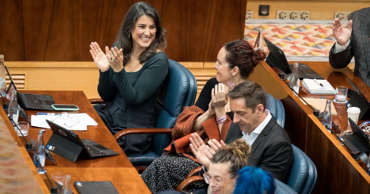 Más Madrid llevará a la Asamblea su propuesta para reconocer y defender a las familias monomarentales este jueves