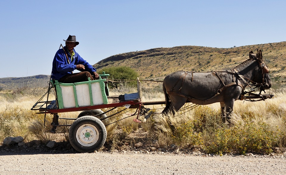 Un agricultor sobre un carro tirado por un burro.