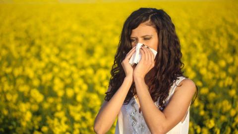 El adelanto de la primavera impulsa un 8% la demanda en las farmacias de productos contra la alergia