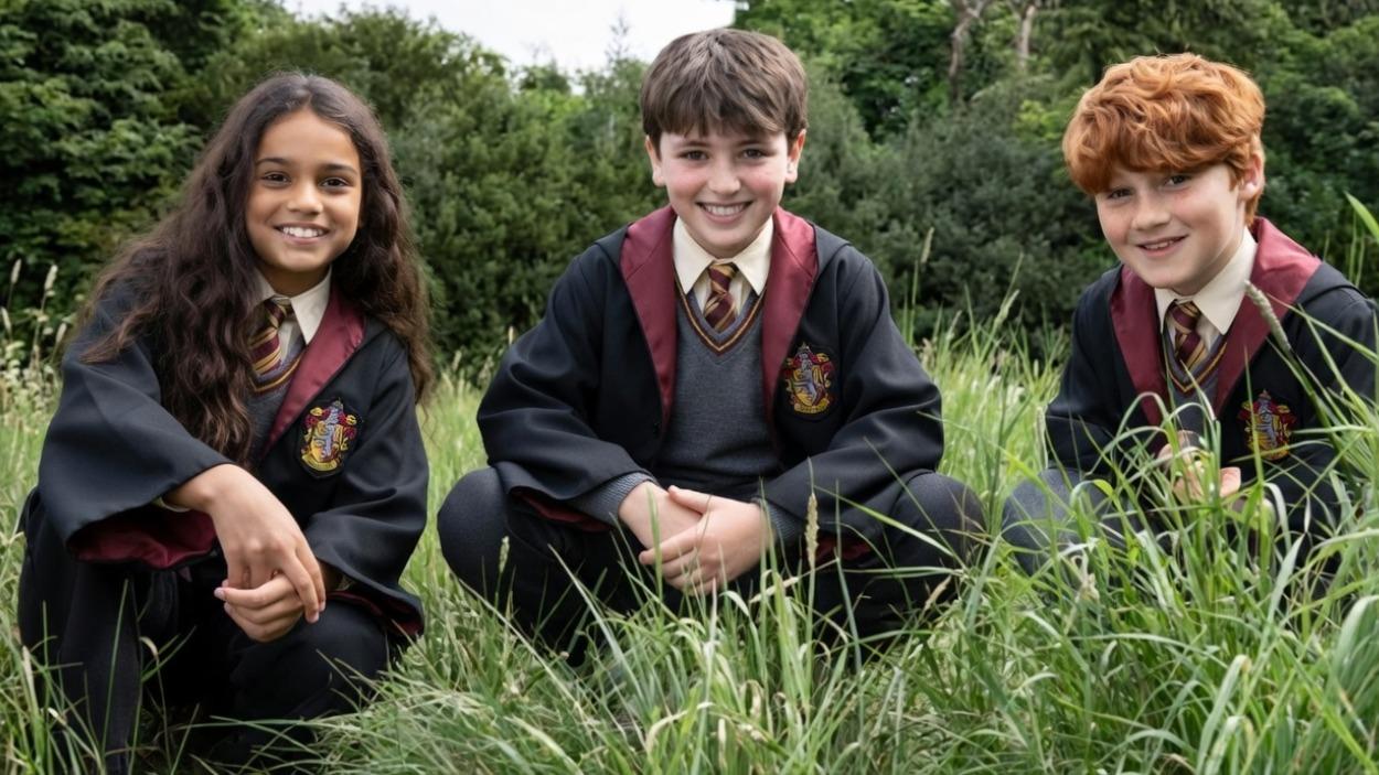 Harry Potter / Hecho con IA