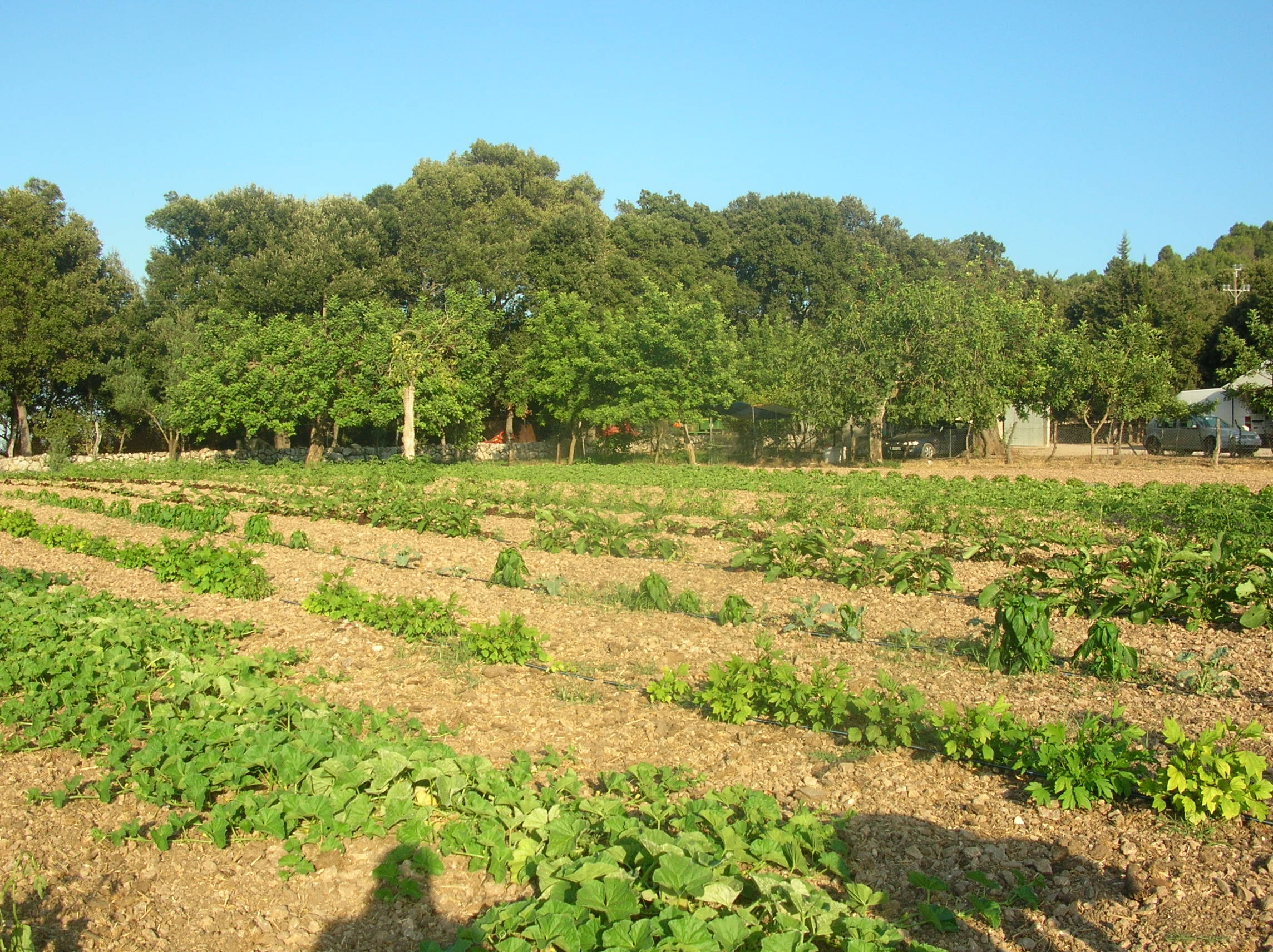 La agricultura ecológica no es suficiente