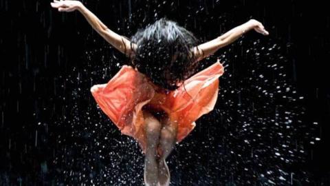 Ai Weiwei, Ramón y Cajal y el cine de moda protagonizan abril en CaixaForum+