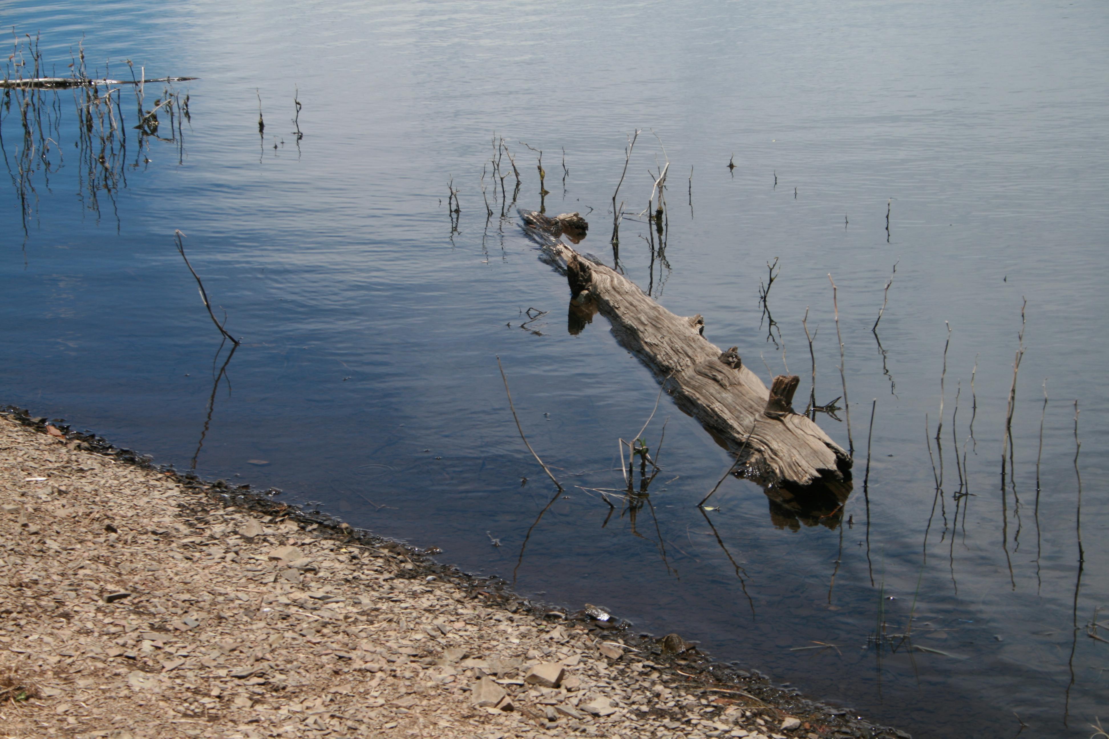 Los lagos del mundo, en verdad no son tan profundos