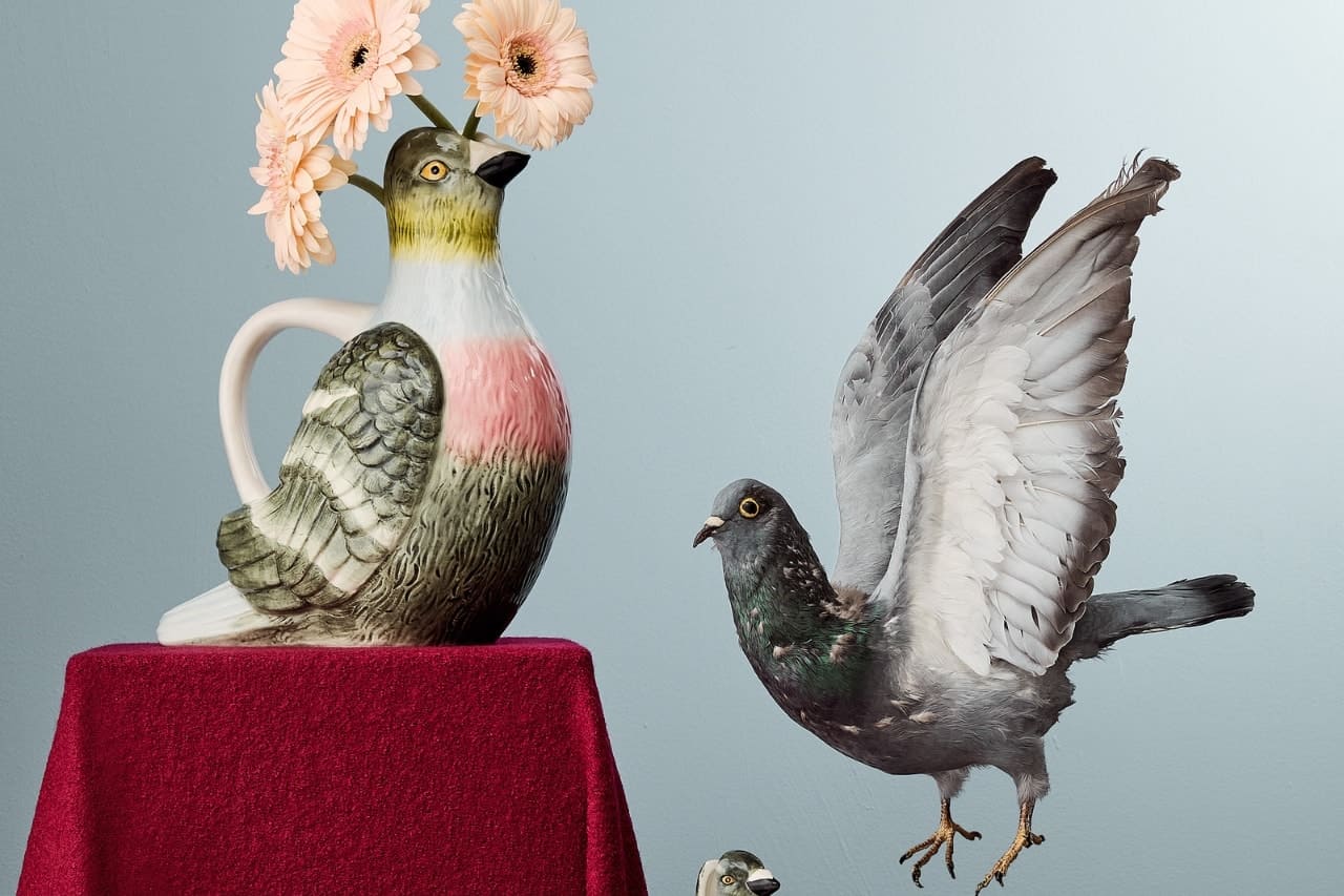 Emma Chamberlain con una colección de hogar junto a West Elm