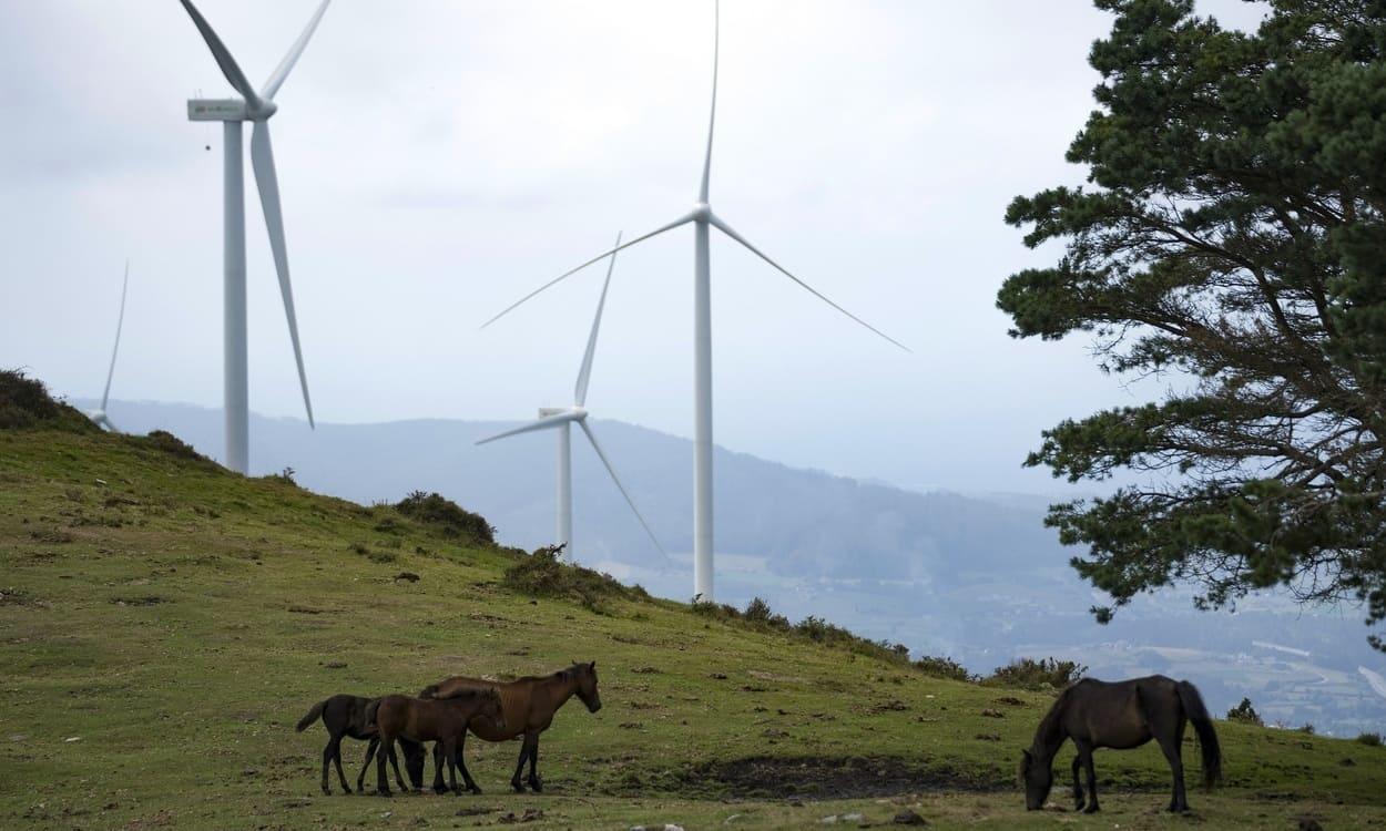 Parque eólico. IBERDROLA