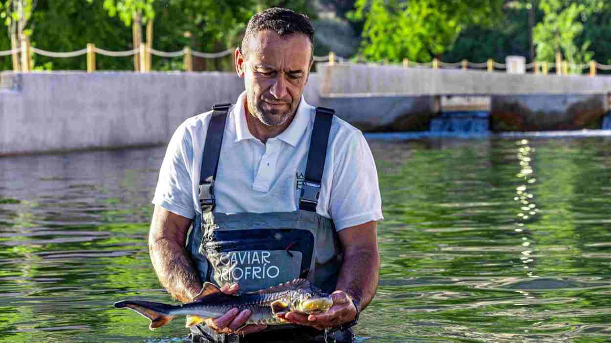 Riofrío, de cerca y en Granada