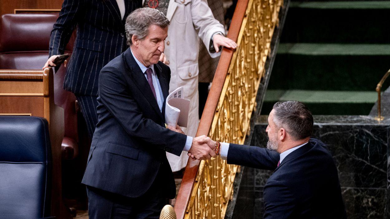 El presidente del Partido Popular, Alberto Núñez Feijóo, y el presidente de Vox, Santiago Abascal. EP.