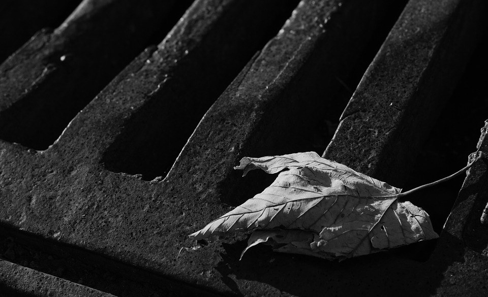 Las aguas residuales, "oro negro" contra la escasez de agua Las aguas residuales, "oro negro" contra la escasez de agua