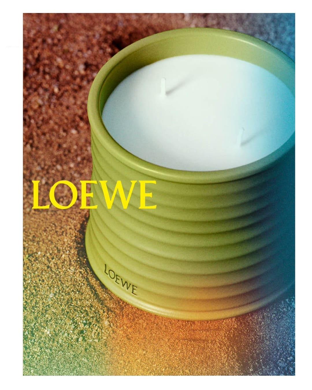 Loewepistacho 1 060426 4