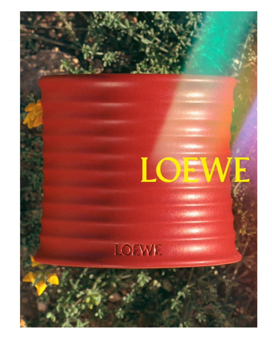 Loewetomato 1 060426 4