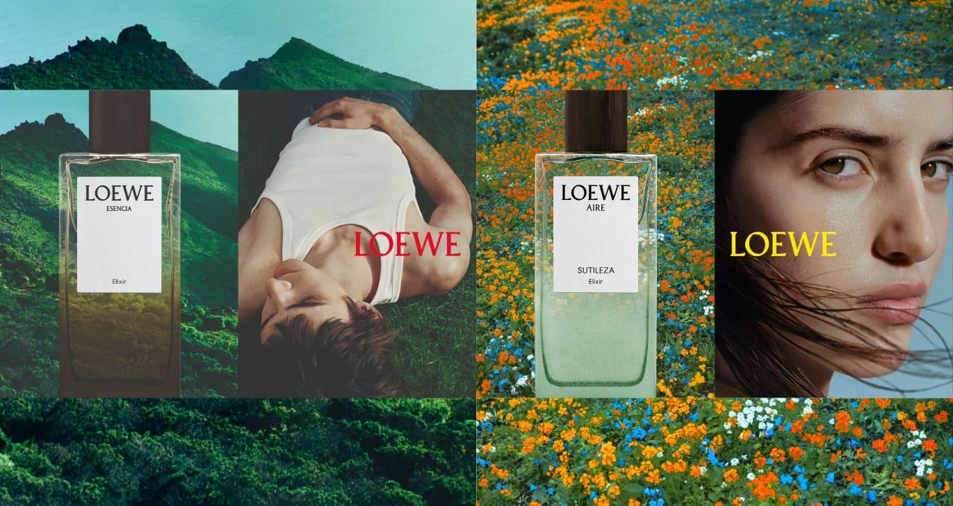 Loewe 1 060426 2 (1)