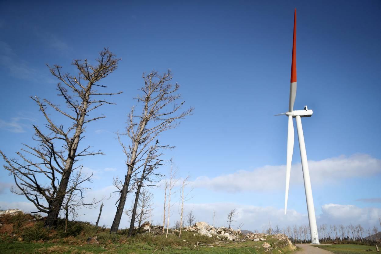 El traslado de los magistrados de la Sección 3ª de lo Contencioso del TSXG es visto como favorable a las empresas y a la Xunta (Foto: Europa Press).