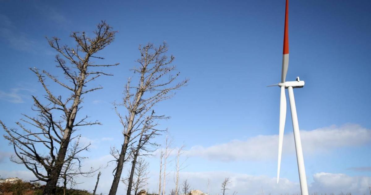 Reclaman la anulación del traslado de jueces del TSXG que, con sus resoluciones, ponían en entredicho el modelo eólico de la Xunta