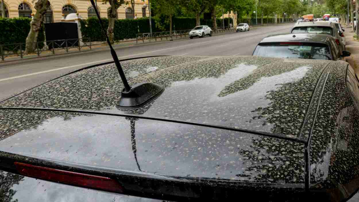Coches sucios de barro por la llegada de una nueva borrasca que trae polvo en suspensión. EP