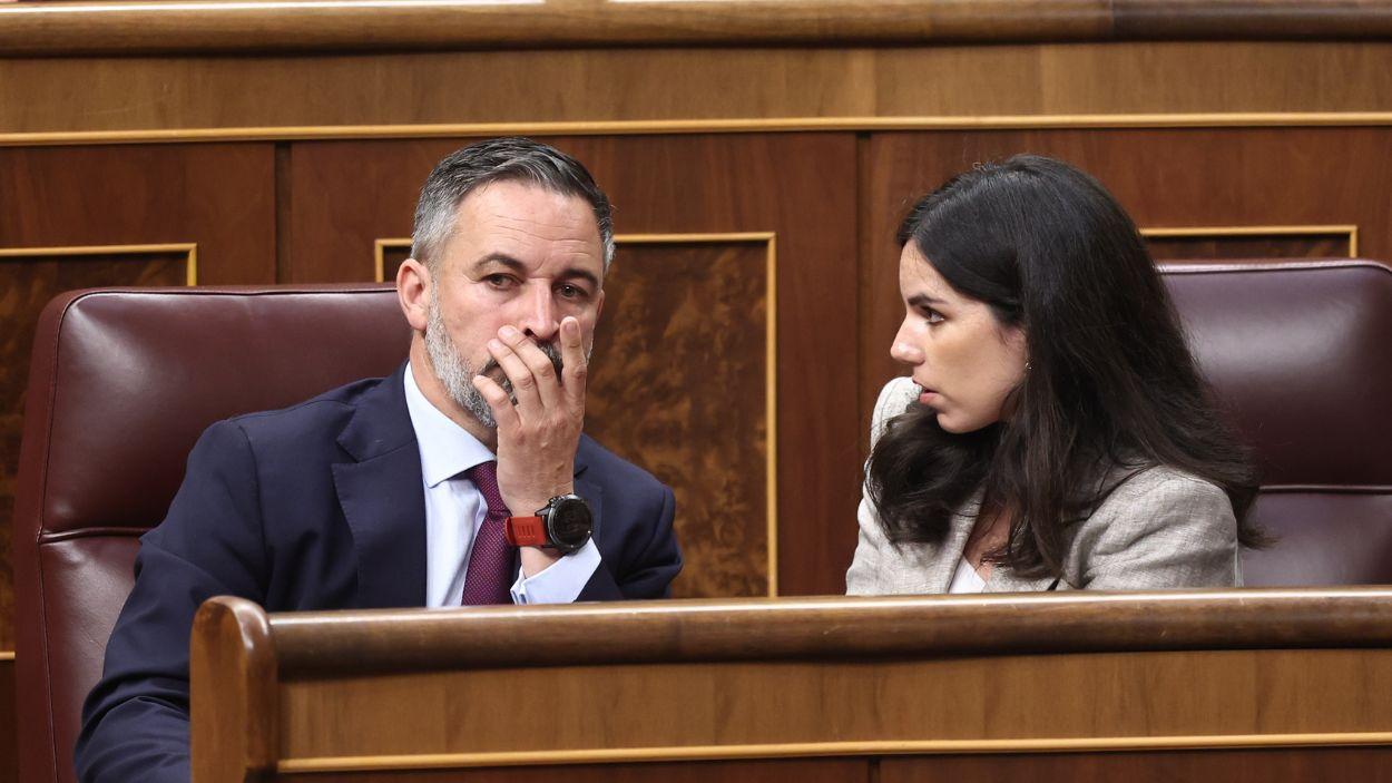 El presidente de Vox, Santiago Abascal, y la portavoz de Vox en el Congreso, Pepa Millán, durante un pleno en el Congreso de los Diputados, a 15 de abril de 2026, en Madrid. EP.