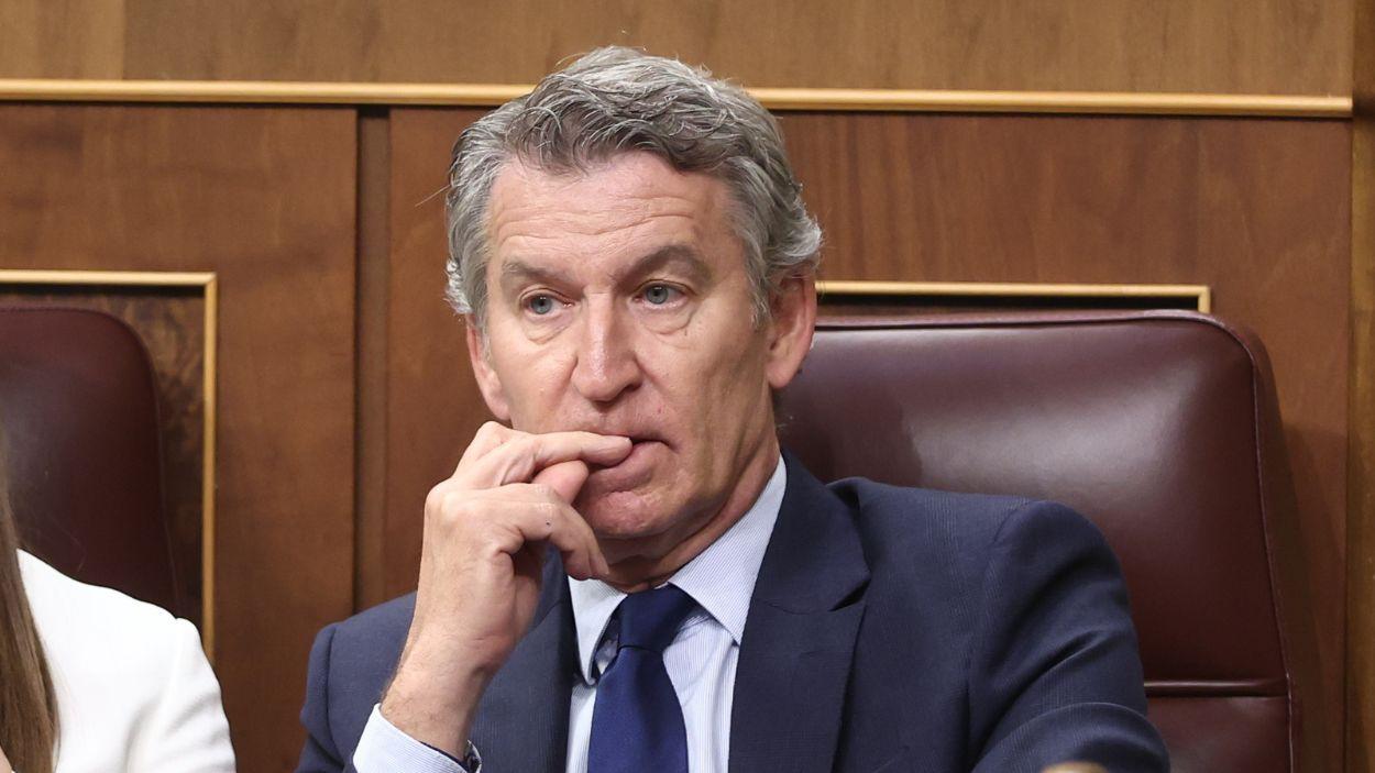 El líder del PP, Alberto Núñez Feijóo, en el Congreso de los Diputados. EP