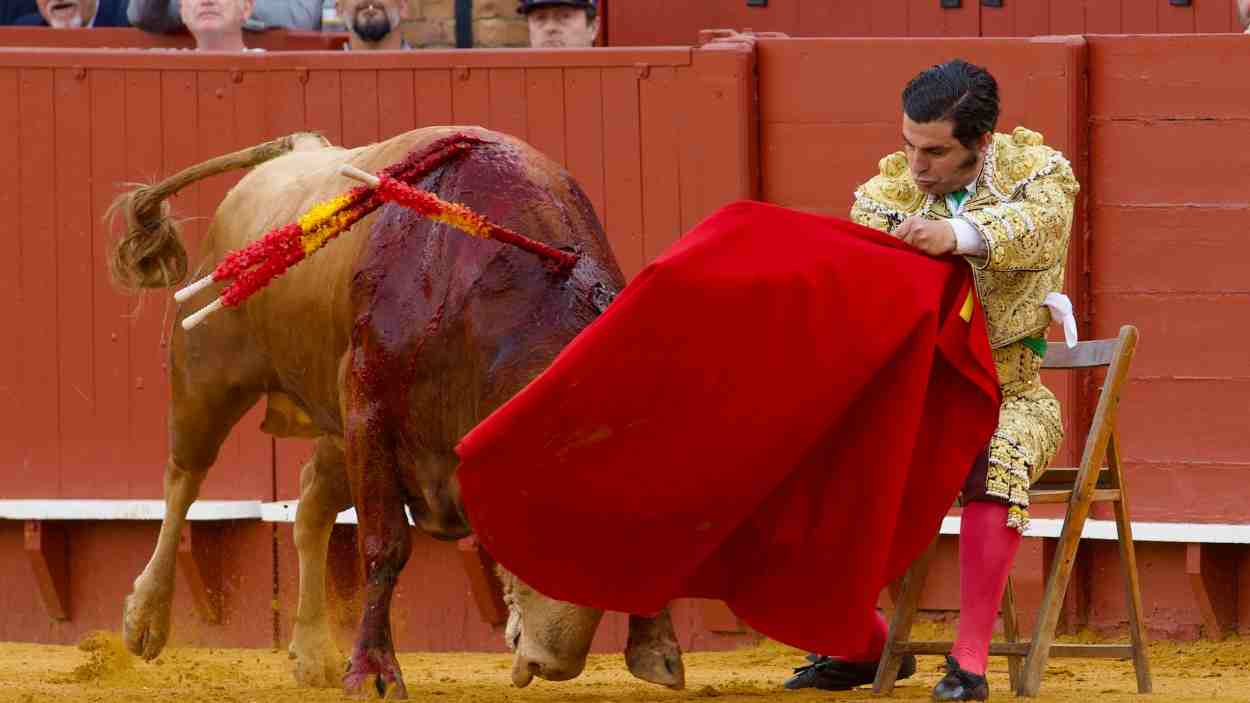 Morante de la Puebla ha sido cogido por un toro. EP
