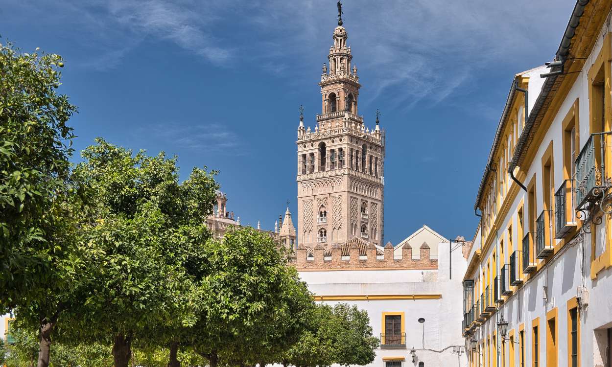 Marco Garrido Cumbrera: la naturaleza es la mejor herramienta de salud mental