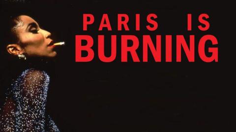 Biblioculto, capitulo VI: Paris is burning; cultura ball, voguing y lenguaje moderno