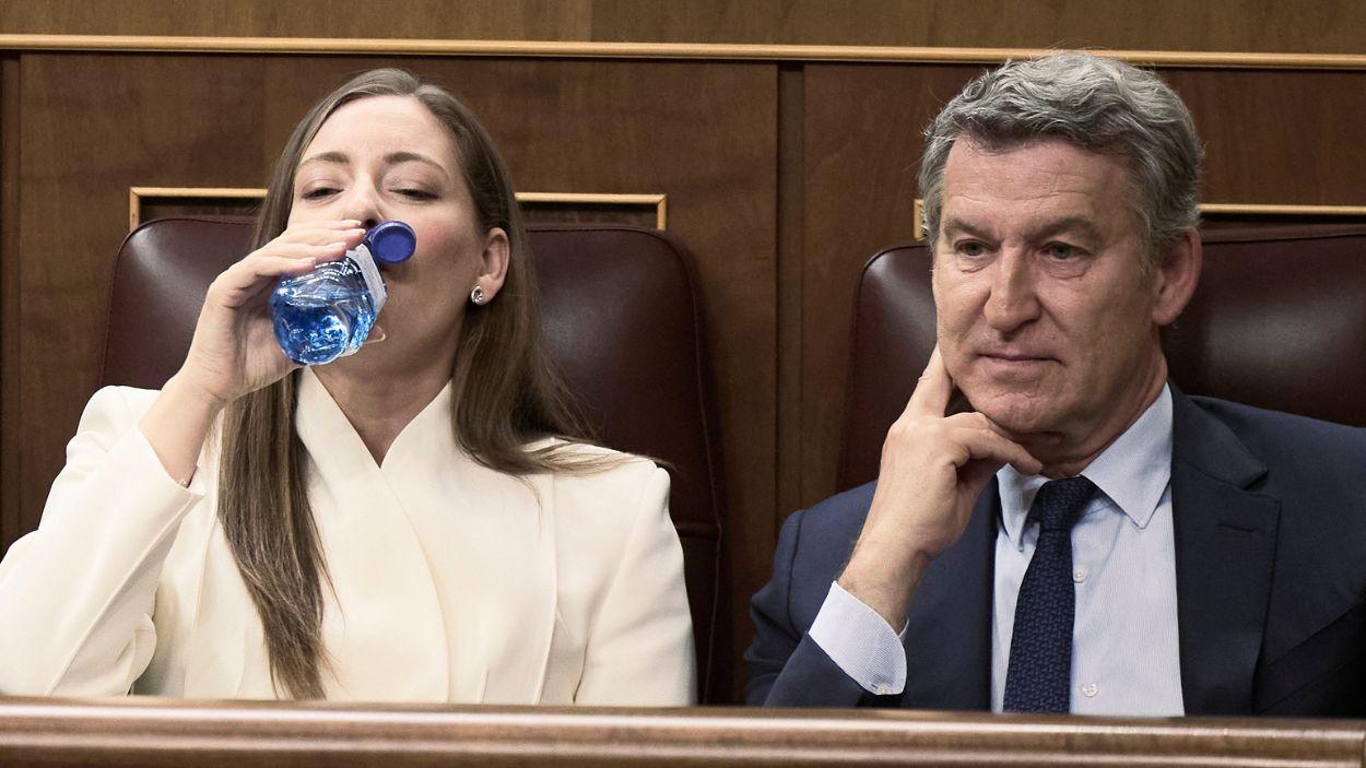 El presidente del PP, Alberto Núñez Feijóo, y la portavoz del PP en el Congreso, Ester Muñoz. EP.