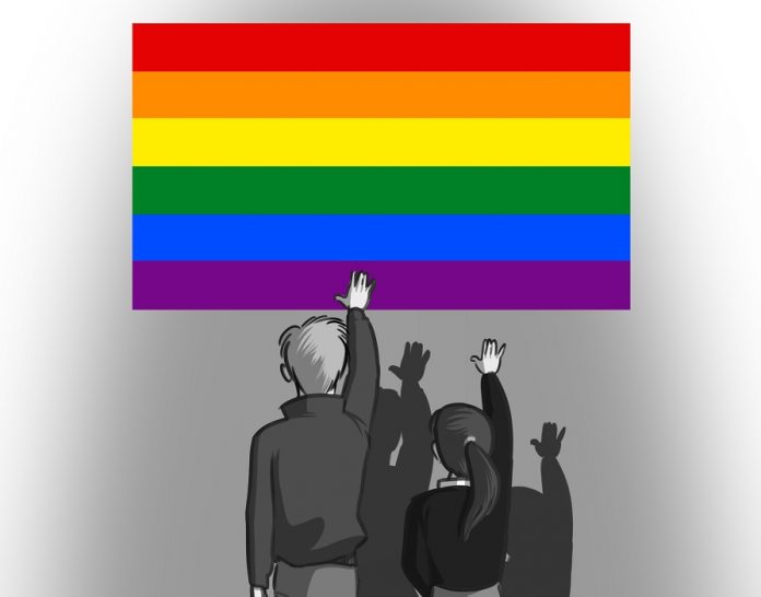 Imagen del libro homófobo de Hazte Oír