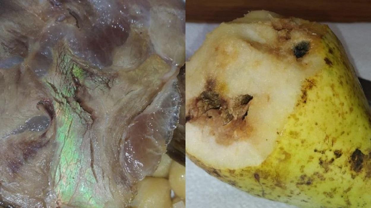 Imagen cedida por Marcelo