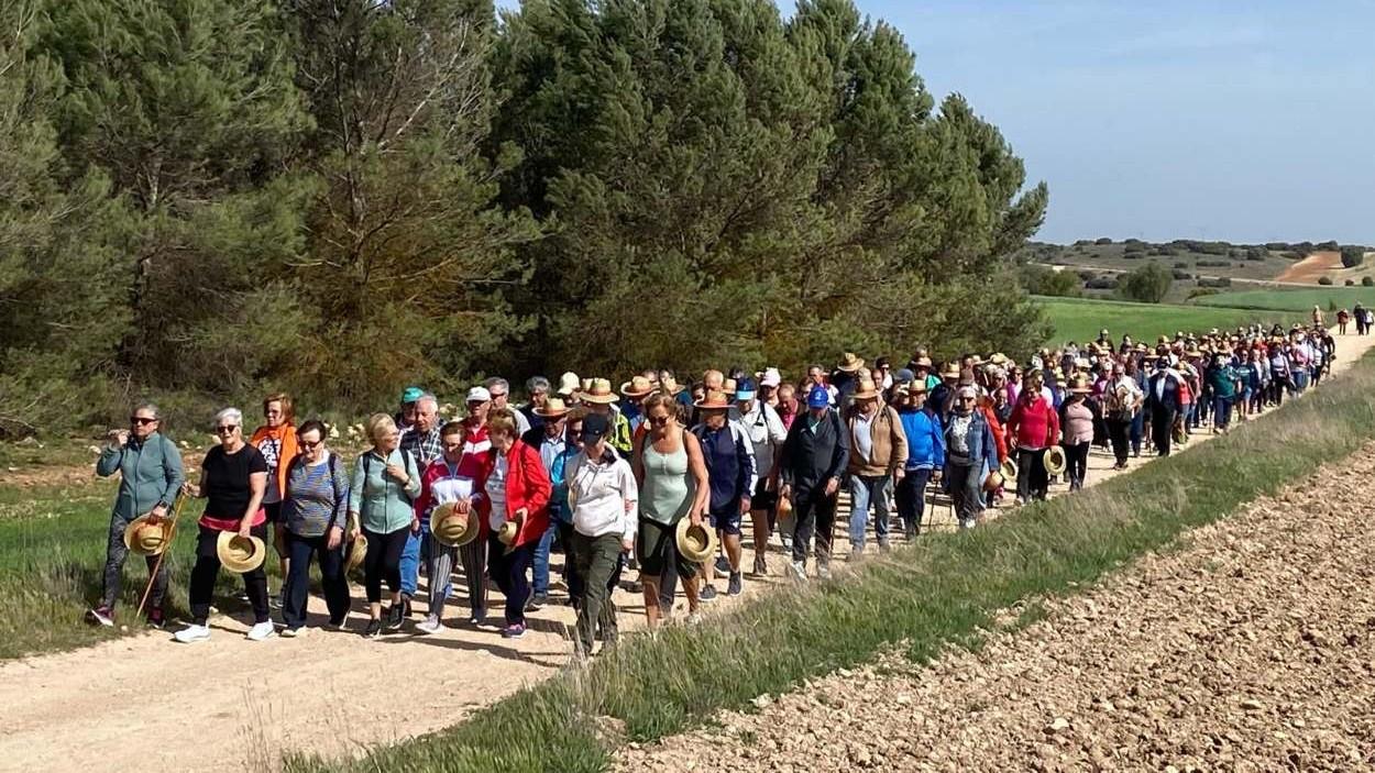 Ruta de senderismo en Almonacid del Marquesado. JCCM