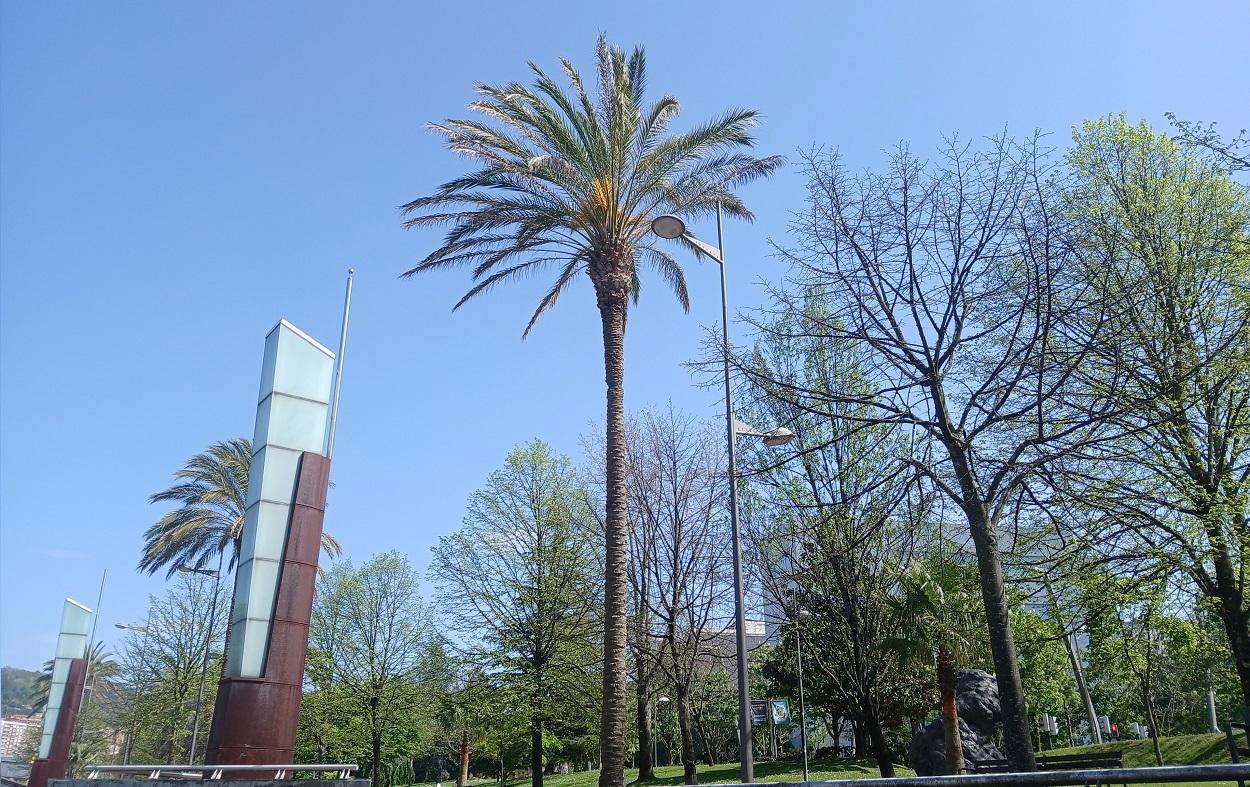 Cielos despejados en Bilbao. EP