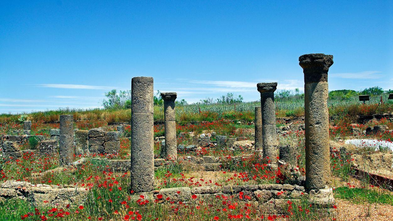 Restos arqueológicos de Sisapo, la antigua ciudad romana vinculada al mercurio.