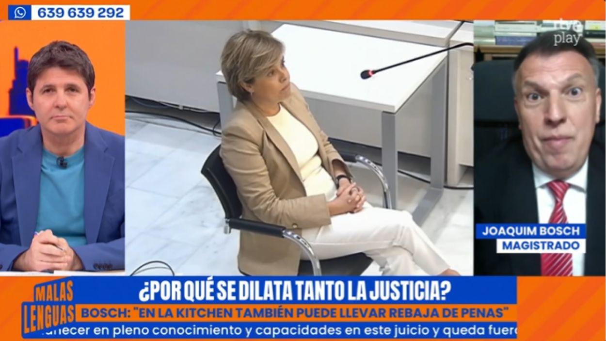 Joaquim Bosch en 'Malas Lenguas'. TVE