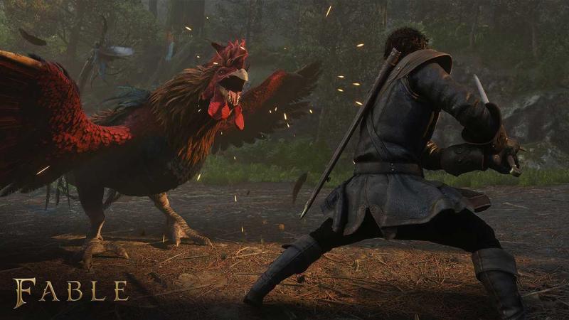 Combate en el juego Fable