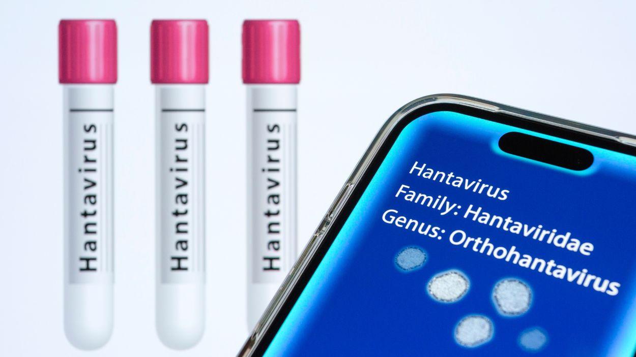 Representación visual del hantavirus, un miembro del género Orthohantavirus dentro de la familia Hantaviridae. EP.