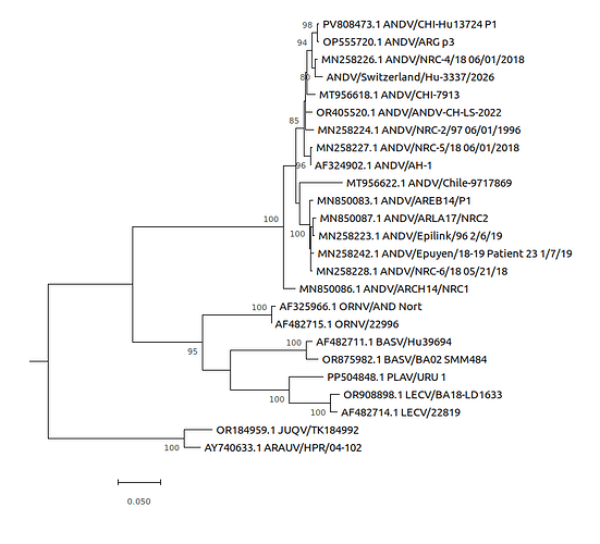Arbol de máxima verosimilitud basado en la secuencia codificante completa de la nucleocápside del segmento S de cepas del virus Andes Arbol de máxima verosimilitud basado en la secuencia codificante completa de la nucleocápside del segmento S de cepas del virus Andes