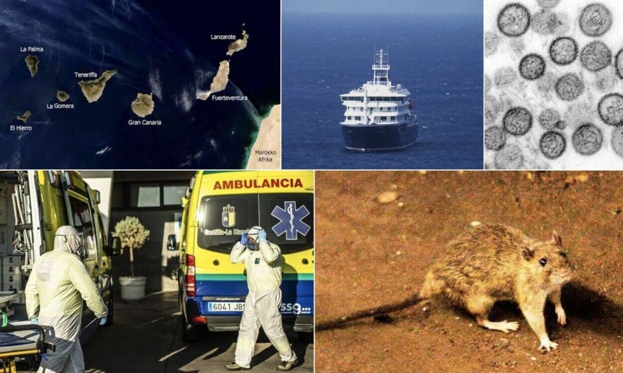 La crisis vinculada al crucero MV Hondius afectado por hantavirus puede generar un “grave deterioro reputacional” para Canarias. SERVIMEDIA